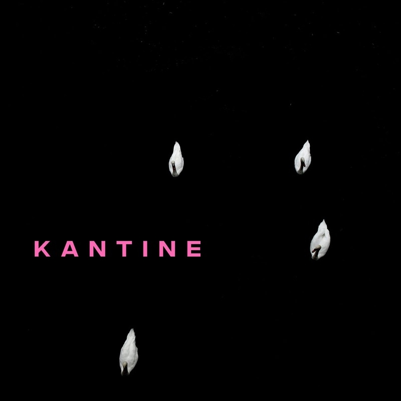 Bild: cover-kantine-rosa.jpg cover-kantine-rosa.jpg