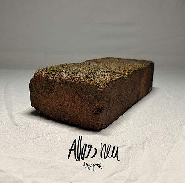 cover-tigeryouth-alles-neu.jpg