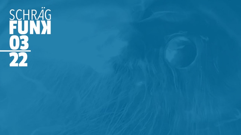Sendung: 03/2022 Schrägfunk: 03/2022